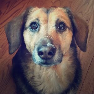 Meet your Posher, Jay